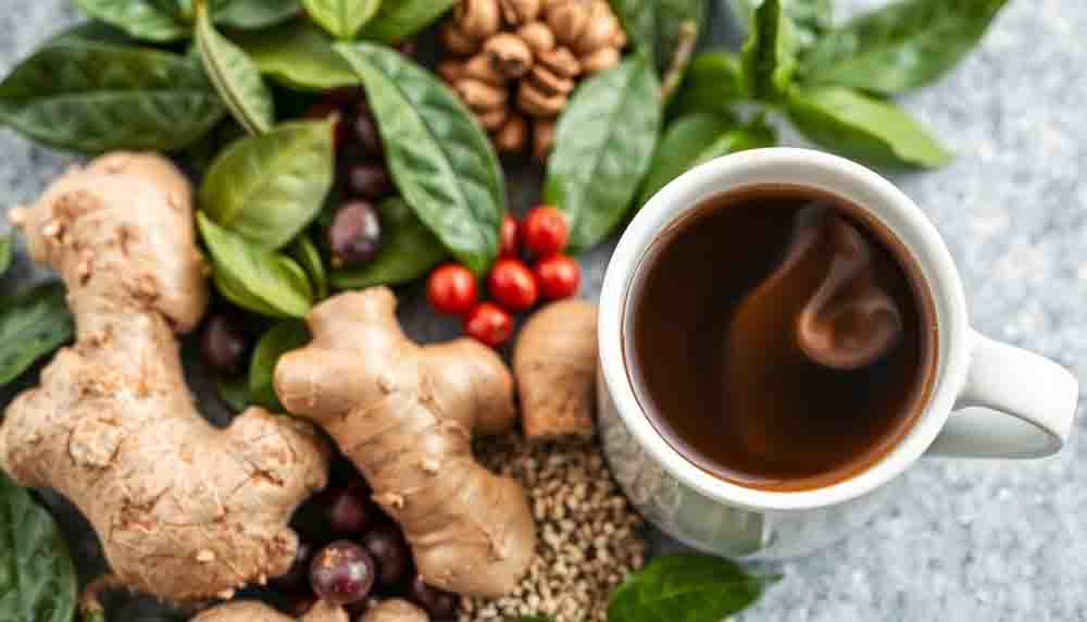 Identify Why Botanical Extracts Curb Cravings for Weight Loss